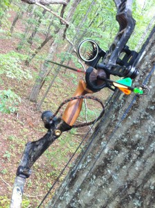 2010 Hunting Season
