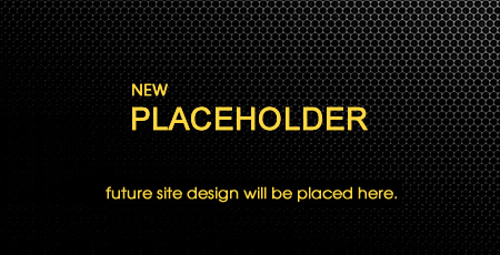 NEED A WEBSITE? image